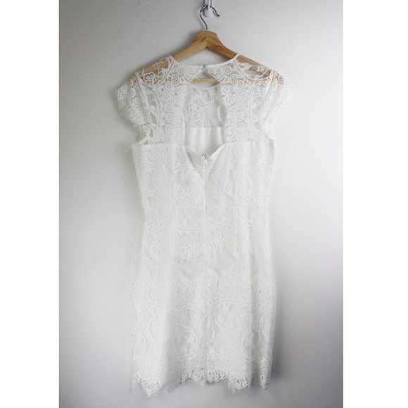 NEW BB Dakota Rhianna Illusion Yoke Lace Dress 8 - Picture 6 of 8